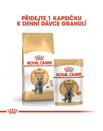 ROYAL CANIN British Shorthair Adult 2kg granule pro britské krátkosrsté kočky