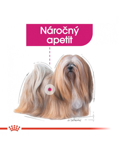 ROYAL CANIN Mini Exigent 4 kg granule pro mlsné malé psy