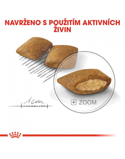 ROYAL CANIN Mini Exigent 4 kg granule pro mlsné malé psy