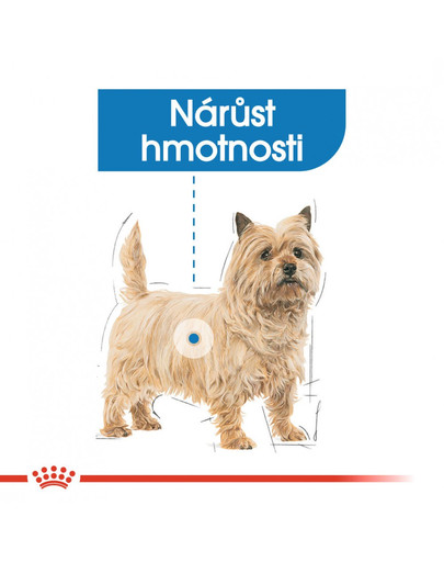ROYAL CANIN Mini light weight care 800g dietní granule pro psy
