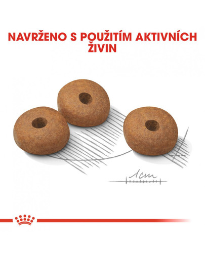 ROYAL CANIN Mini light weight care 800g dietní granule pro psy