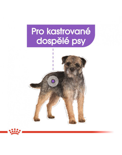 ROYAL CANIN Mini Sterilised 2 kg granule pro kastrované malé psy