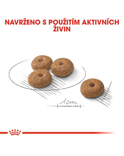 ROYAL CANIN Mini Sterilised 2 kg granule pro kastrované malé psy