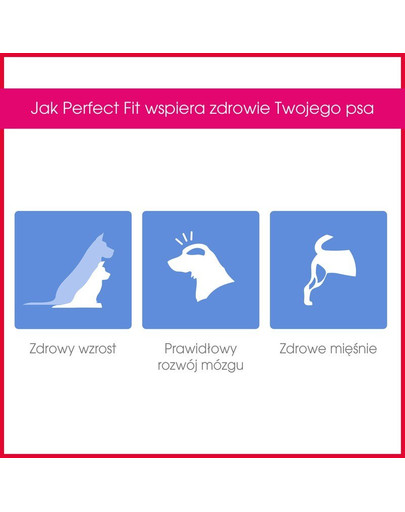 PERFECT FIT Junior (<1 rok) pro střední a velké rasy - Bohatý na kuřecí maso 1.4 kg