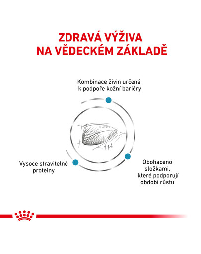 ROYAL CANIN Veterinary Health Nutrition Dog Skin Care Puppy Small Dog 4 kg