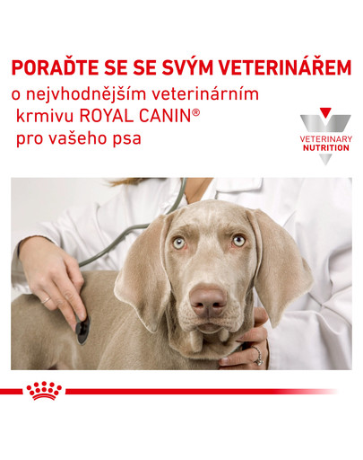 ROYAL CANIN Veterinary Health Nutrition Dog Skin Care Puppy Small Dog 4 kg