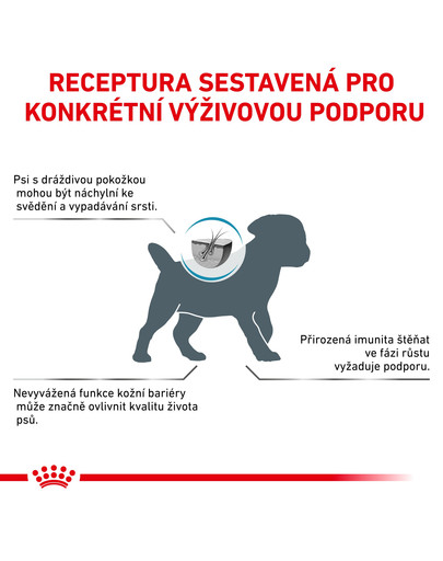 ROYAL CANIN Veterinary Health Nutrition Dog Skin Care Puppy Small Dog 4 kg