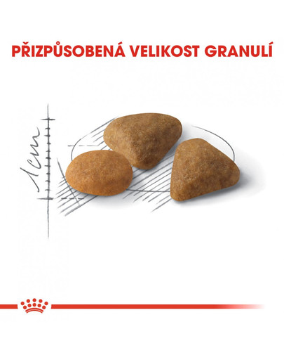 ROYAL CANIN Exigent savour sensation 10 kg+2 kg ZDARMA granule pro mlsné kočky