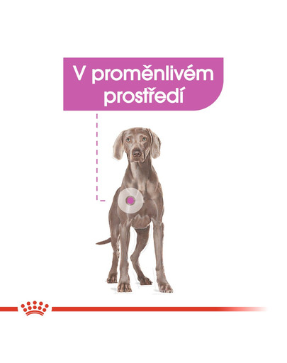 ROYAL CANIN Maxi Relax Care 3 kg