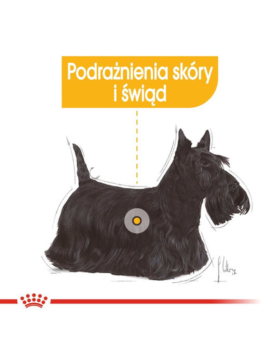 ROYAL CANIN Dermacomfort  - kapsička pro dospělé psy s citlivou pokožkou 85 g