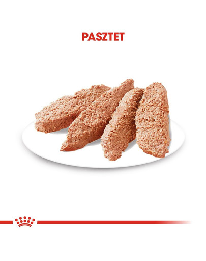 ROYAL CANIN Dermacomfort  - kapsička pro dospělé psy s citlivou pokožkou 85 g