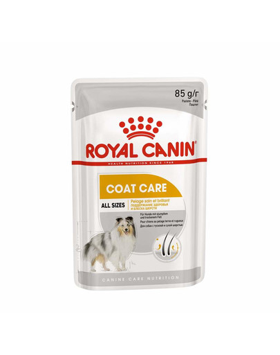 ROYAL CANIN Coat Care - kapsička pro dospělé psy s matnou srsti 85 g