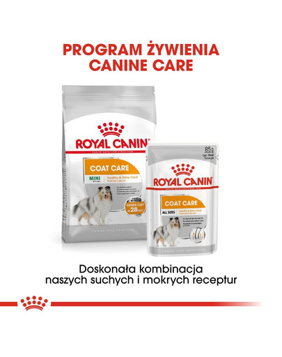 ROYAL CANIN Coat Care - kapsička pro dospělé psy s matnou srsti 85 g