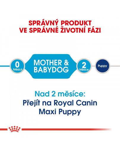 ROYAL CANIN Maxi Starter Mother&Babydog 4 kg granule pro březí nebo kojící feny a štěňata