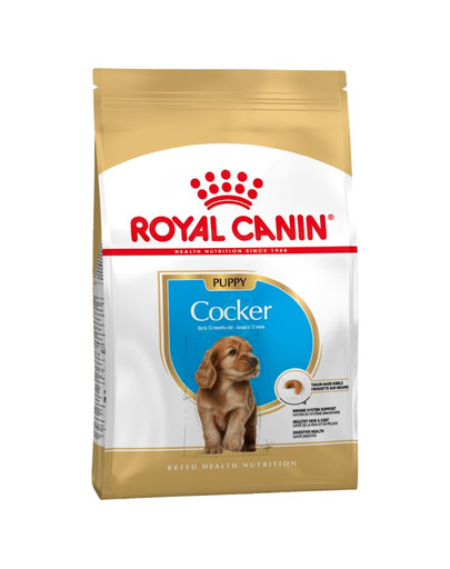 ROYAL CANIN Cocker Puppy 3 kg granule pro štěně kokršpaněla