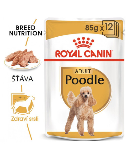 ROYAL CANIN Poodle Adult Loaf 85g kapsička s paštikou pro pudly
