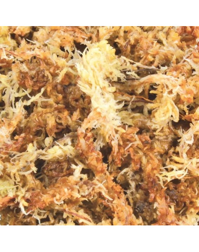 TRIXIE Podestýlka rašeliníkový mech (sphagnum) 100 g
