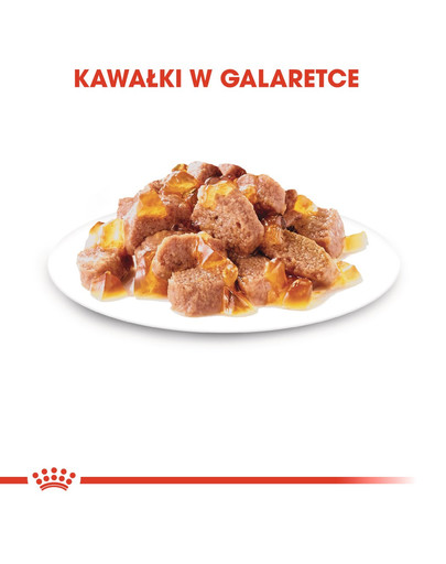 ROYAL CANIN Instinctive Jelly 12x85g kapsičky pro kočku v želé