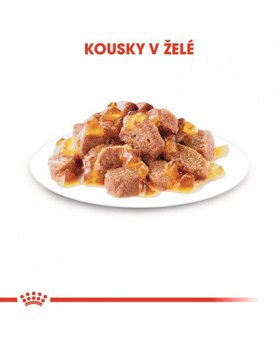 ROYAL CANIN AGEING +12 85g Jelly kapsička pro staré kočky v želé