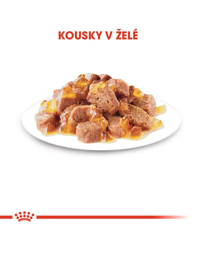 ROYAL CANIN Instinctive Jelly 85 g kapsička pro kočky v želé