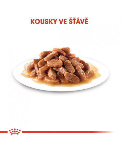 ROYAL CANIN Kitten Instinctive Gravy 85g kapsička pro koťata ve šťávě