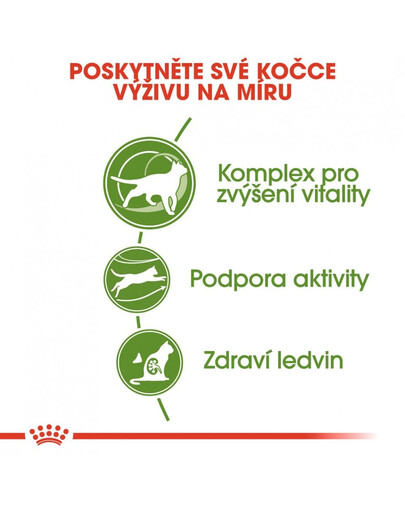 ROYAL CANIN Outdoor 7+ 10 kg granule pro stárnoucí kočky s častým pohybem venku