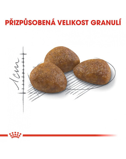 ROYAL CANIN Outdoor 7+ 10 kg granule pro stárnoucí kočky s častým pohybem venku