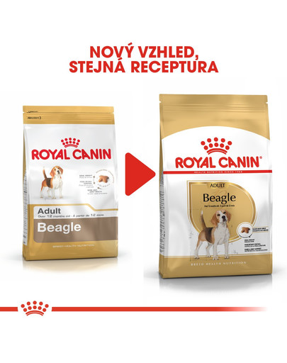 ROYAL CANIN Beagle adult 12 kg granule pro dospělé bígly