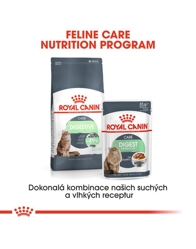 ROYAL CANIN Digestive care 4 kg granule pro kočky pro správné trávení