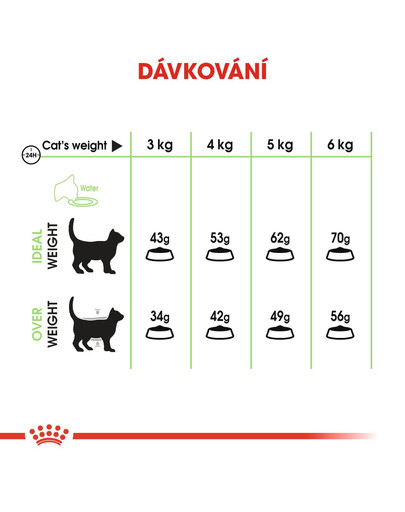 ROYAL CANIN Digestive care 10 kg granule pro kočky pro správné trávení