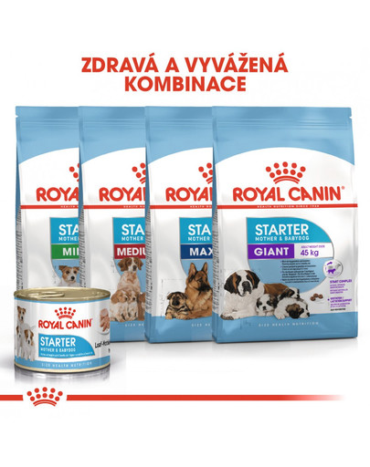 ROYAL CANIN Starter Mousse Mother & Babydog 12 x 195 g mokré krmivo pro feny během těhotenství, laktace a pro štěňata