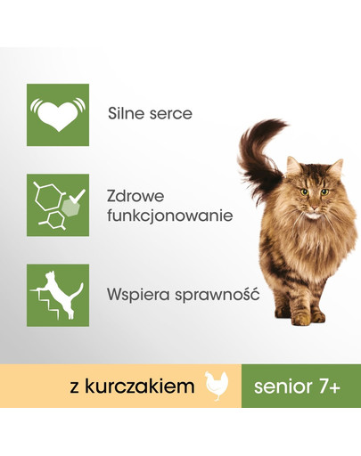 PERFECT FIT Cat 6x750 g Senior 7+