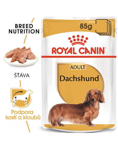 ROYAL CANIN Dachshund Loaf 85g kapsička s paštikou pro jezevčíka