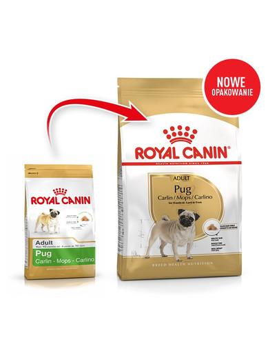 ROYAL CANIN Pug Adult 3 kg granule pro dospělého mopse