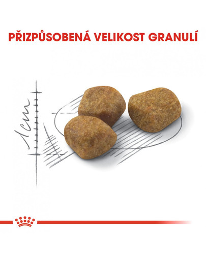 ROYAL CANIN Indoor 7+ 3.5 kg granule pro stárnoucí kočky žijící uvnitř