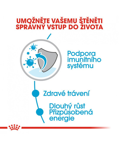 ROYAL CANIN Maxi Puppy 10x140g kapsičky pro velká štěňata