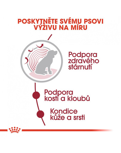 ROYAL CANIN Medium Ageing 10+ 140g kapsička pro staré střední psy