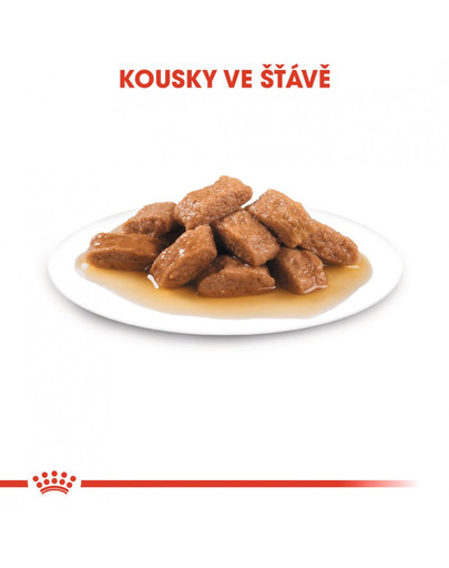ROYAL CANIN Medium Ageing 10+ 140g kapsička pro staré střední psy