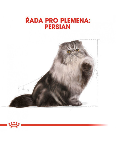 ROYAL CANIN Persian  Adult 10 kg + 2 kg gratis granule pro perské kočky