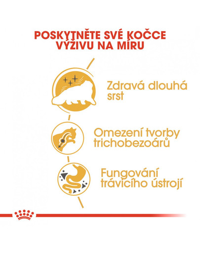 ROYAL CANIN Persian  Adult 10 kg + 2 kg gratis granule pro perské kočky