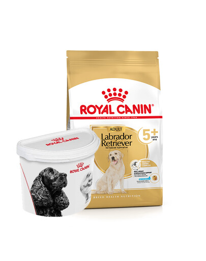 ROYAL CANIN Labrador Retriever Adult 5+ 3 kg krmivo pro labradory starší 5 let