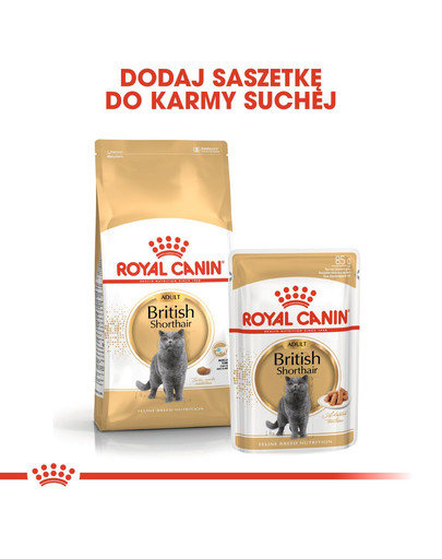 ROYAL CANIN British Shorthair Adult 4kg granule pro britské krátkosrsté kočky