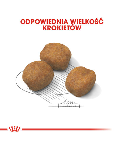 ROYAL CANIN Giant Puppy 3,5 kg granule pro obří štěňata