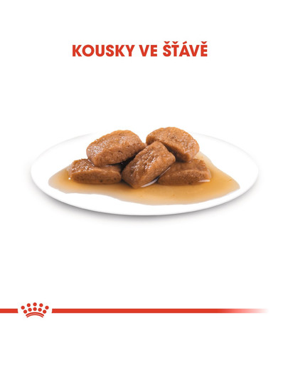 ROYAL CANIN Maxi ageing 8+ 140 g