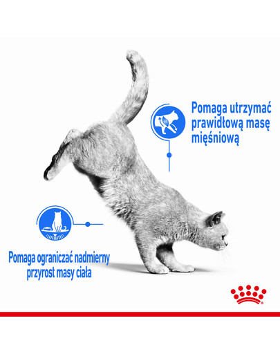 ROYAL CANIN ULTRA LIGHT 85 g v omáčce x 12