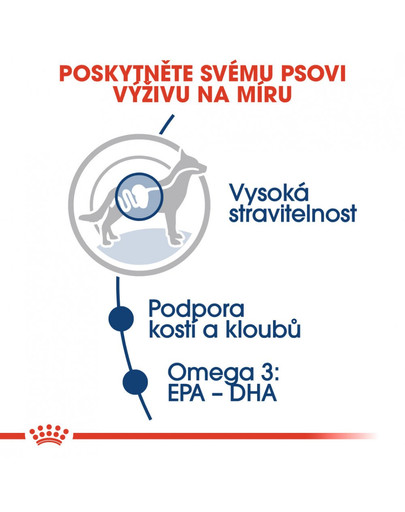 ROYAL CANIN Maxi adult 10x140 g kapsička pro dospělé velké psy
