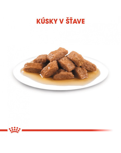 ROYAL CANIN Medium Ageing 10+ 140g x10 kapsička pro staré střední psy
