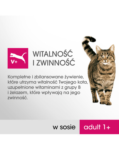 PERFECT FIT Cat Adult 1+ masové kapsičky 4*85 g