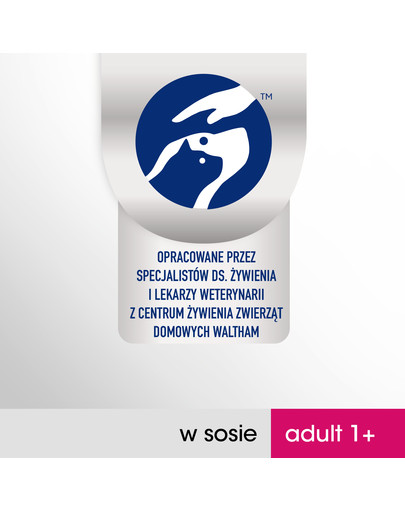 PERFECT FIT Cat Adult 1+ masové kapsičky 4*85 g