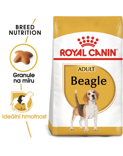 ROYAL CANIN Beagle adult 2 x 12 kg granule pro dospělé bígly